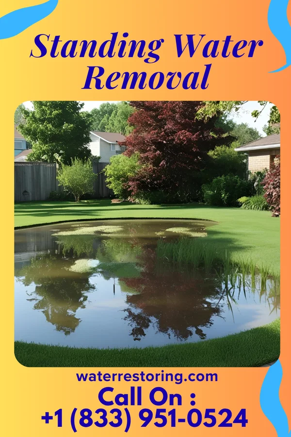 Standing Water Removal in Lake Shastina, CA